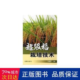 超级稻栽培技术 种植业 峰