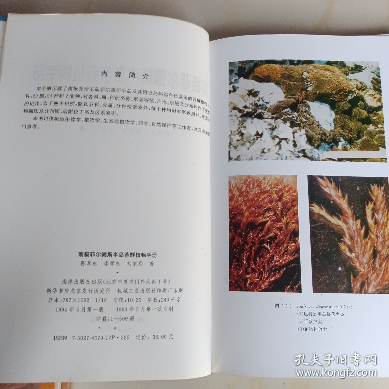 南极菲尔德斯半岛苔鲜植物手册