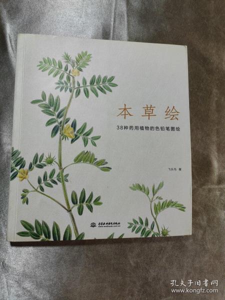 本草绘：38种药用植物的色铅笔图绘