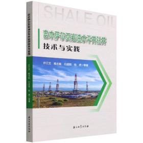 吉木萨尔页岩油水平井钻井技术与实践