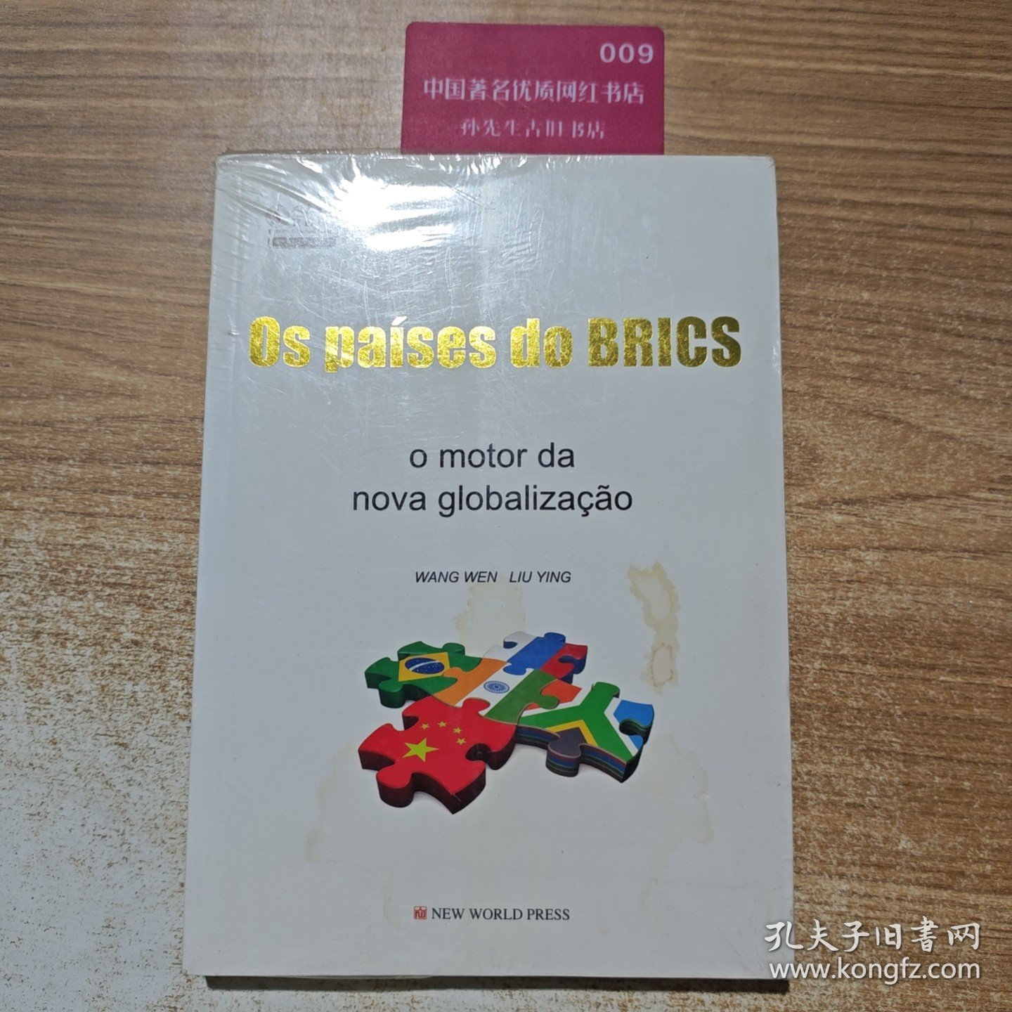 金砖国家：新全球化的发动机（葡萄牙文版）/人大重阳智库作品系列