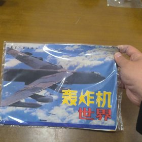 轰炸机世界:[图集]