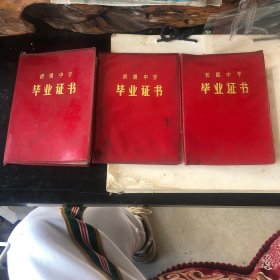 初级中学毕业证书3本合售