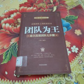 团队为王：建立高效团队七步骤 馆藏正版无笔迹