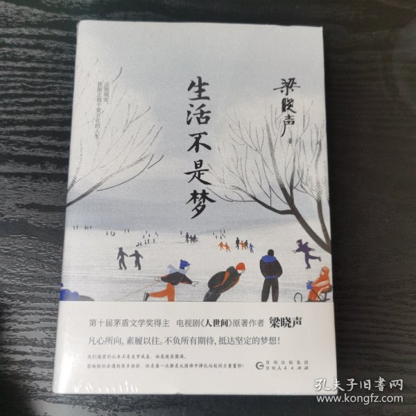 生活不是梦（茅盾文学奖得主、《人世间》原著作者梁晓声——给年轻人的人生清醒之书！看透生活本质，以众生百态写尽时代、社会变迁）