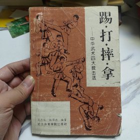 踢打摔拿