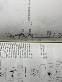 内证观察笔记 原版增订本真图本中医解剖学纲目 内政内症内正观察笔记 内证检查观摩见证笔记
中医学中医养生