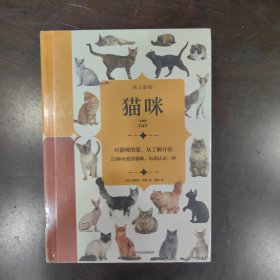 纸上景观：猫咪