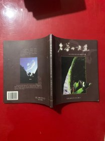 岩茶的味道:吴光明武夷岩茶摄影专题:[中英文本]:a collection of photos of Wuyi Rock Tea by Wu Guangming