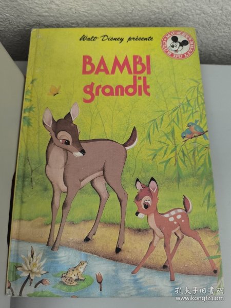 BAMBI grandit