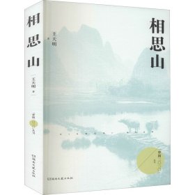 正版現(xiàn)貨新書 相思山 9787540497842 王天明