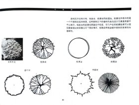 建筑平面及剖面表现方法：国外高等院校建筑学专业教材