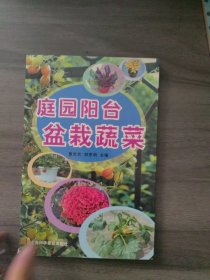 庭园阳台盆栽蔬菜