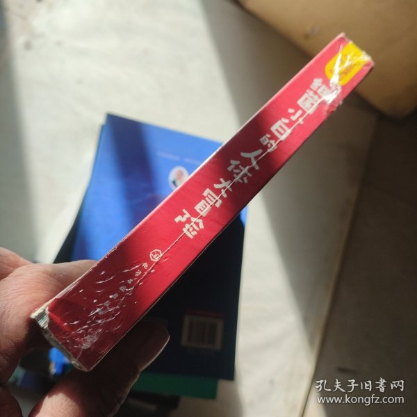 细菌小白的人体大冒险