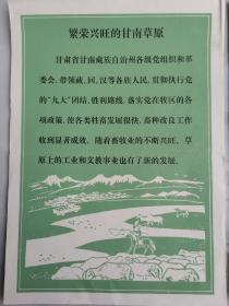 新华社展览照片《伟大的社会主义祖国欣欣向荣》系列—《繁荣兴旺的甘南草原》，存彩页和说明及（缺1张照片）：夏河县科才公社社员在放牧；甘加公社卫东大队的放牧员在给羊羔喂奶；白土坡水电站主机室内景；畜牧兽医专科学校的教师在课外辅导学生复习动物生理解剖课；甘南藏族自治州广播电台向各族人民宣传毛主席的革命路线和党的各项方针政策；玛曲县尼玛公社贡玛一队帐篷小学等！