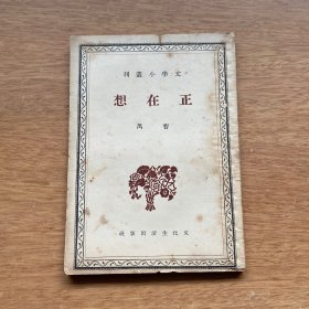 文学小丛刊：正在想