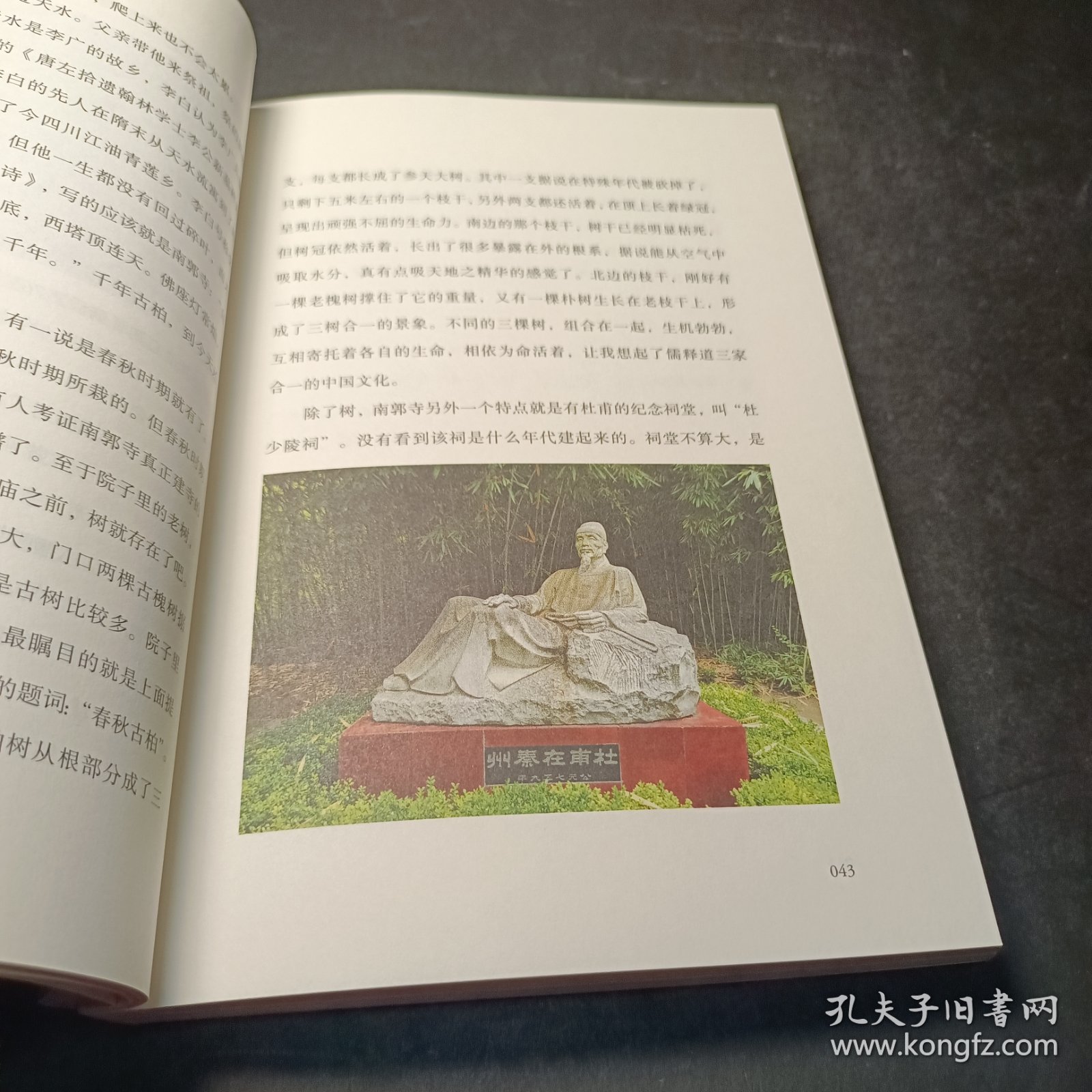 俞你同行：我从陇上走过（俞敏洪十年文化旅行启程之作，让生命在行走中开阔！随书附赠俞敏洪十年旅行邀约信）