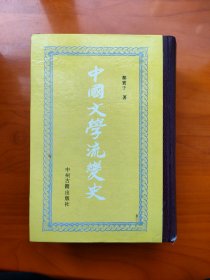 中国文学流变史