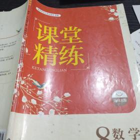 课堂精练 数学八年级下册