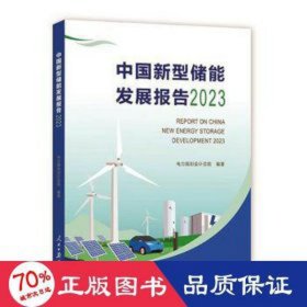 中国新型储能发展报告(2023) 机械工程 作者