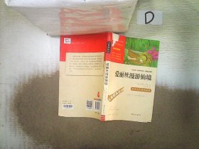 爱丽丝漫游仙境（又名爱丽丝漫游奇境中小学课外阅读无障碍阅读）快乐读书吧六年级下册阅读智慧熊图书