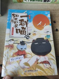 如果历史是一群喵10·宋辽金夏篇