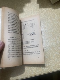 柔道入门