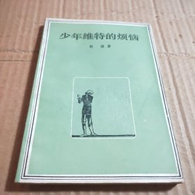 少年维特的烦恼
