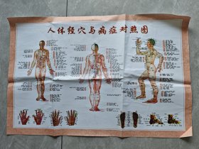 人体经穴与病症对照图（尺寸59.5cmx39.5cm）