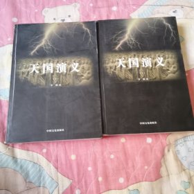 天国演义（上下）
