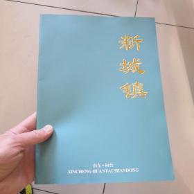 淄博桓台画册，新城镇