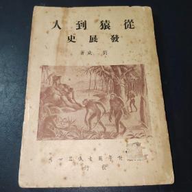 從猿到人發(fā)展史