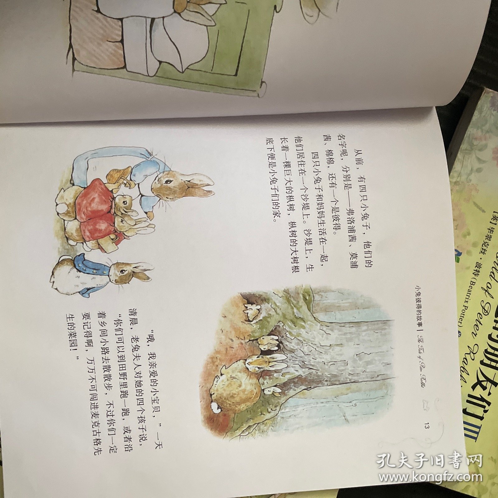 小兔彼得和他的朋友们（全3册）：彼得兔绘本全集