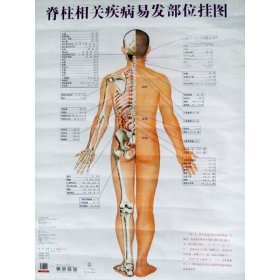 全新正版 脊柱相关疾病易发部位挂图 9787513224420 中国中医药出版社