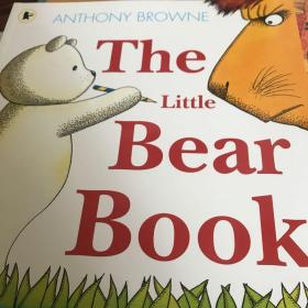 TheLittleBearBook