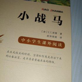 小战马（中小学生课外阅读指导丛书）无障碍阅读 彩插励志版