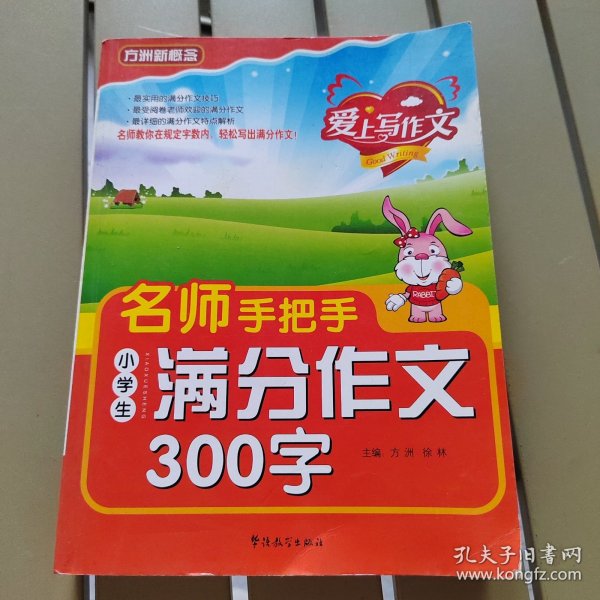 名师手把手小学生满分作文300字