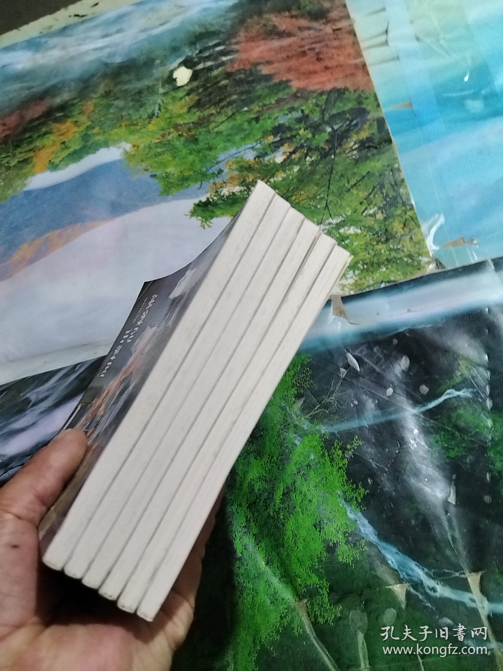阁楼里的秘密（全6册）