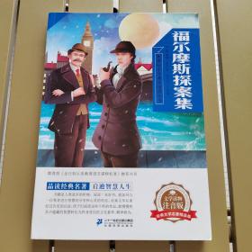 新课标小学课外阅读丛书第五辑  