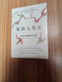 极简人类史：从宇宙大爆炸到21世纪