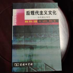 后现代主义文化：当代理论导引