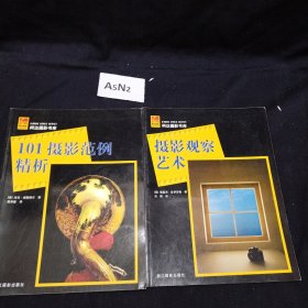 101摄影范例精析 摄影观察艺术（两册合售）