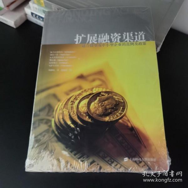 扩展融资渠道：适合微型及中小型企业的范例及政策（引进版）