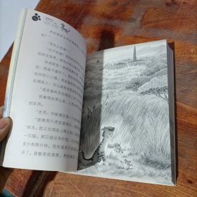 虎皮猫，你在哪里.