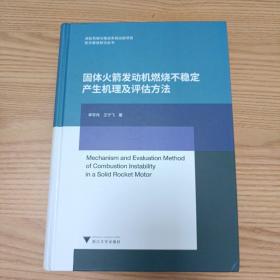 固体火箭发动机燃烧不稳定产生机理及评估方法