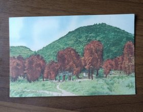 50年代苏州风景画片：天平山（上海人民美术出版社出版）