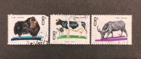 T63畜牧业—牛（包邮）