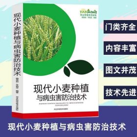 现代小麦种植与病虫害防治技术