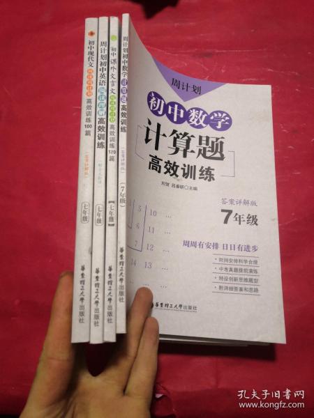 初中现代文阅读周计划：高效训练100篇（七年级）