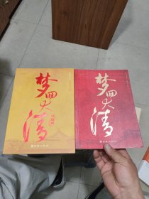 梦回大清：终结篇，2本合卖